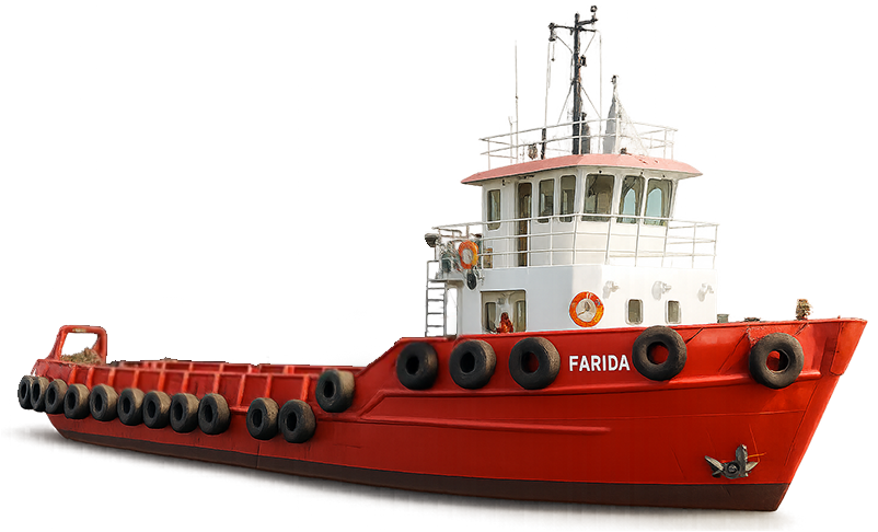 Farida Farida